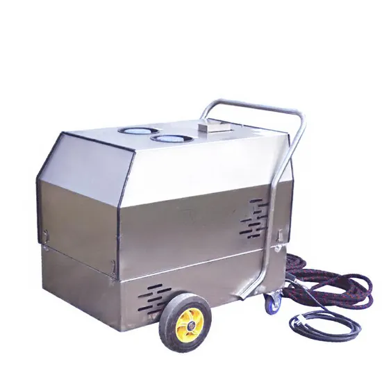 Industrial Portable Diesel Steam Cleaner 30bar High Pressure Stainless Steel Heavy Oil Cleaning Machine Cwc05b